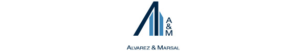 header_logo_asset_