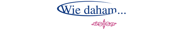 header_logo_asset_