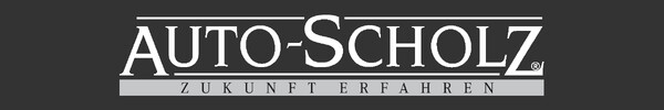 header_logo_asset_