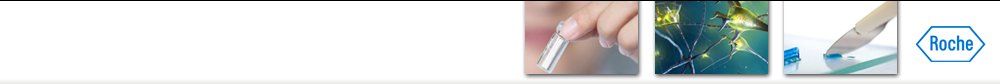 header_login_header_asset