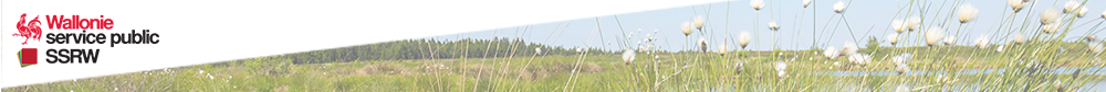 header_login_header_asset