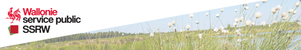 header_logo_asset_