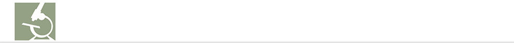 header_login_header_asset