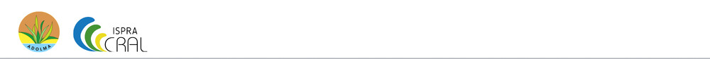 header_login_header_asset