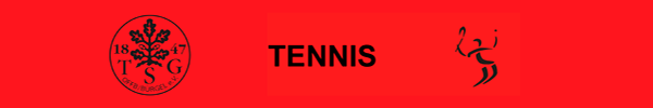 header_logo_asset_